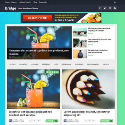 Bridge WordPress Theme